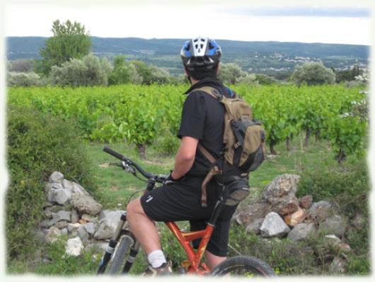 Bike and vineyards in Coteaux du Languedoc