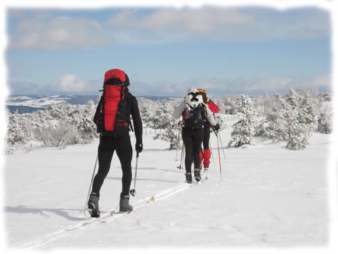Big Nordic Raid crossing the high ridges of Margeride and the Mont Lozerealtitude de Margeride et du Mont Lozere