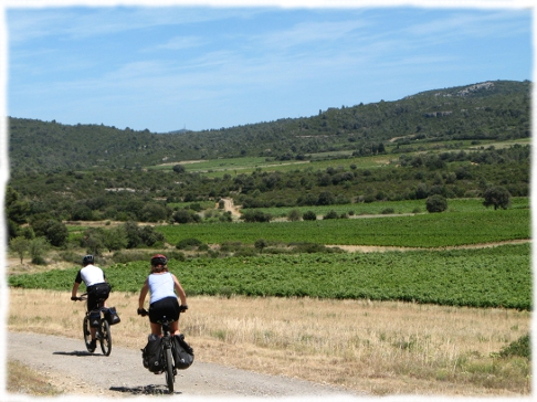 Cycling through the vineyards of Languedoc