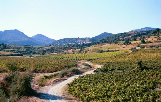 Paysages contrastés entre causses et vallée de l'Hérault