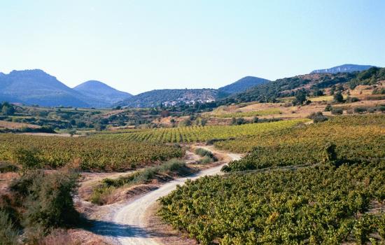 At the footsteps of Larzac