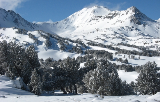 Capcir, heaven for snowshoe hiking