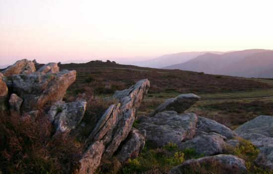 Plateau du Caroux, accessible en joelette