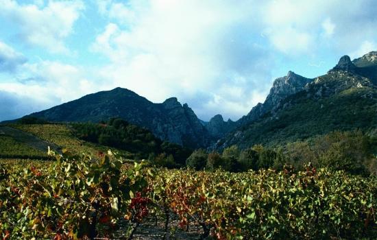 Vignobles et falaises escarpées du massif du Caroux