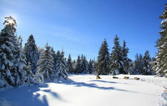 Plateau ardéchois