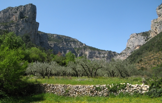 cirque de l'infernet à st guilhem le desert