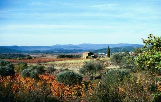 Randonnée vélo entre vignes et oliviers 