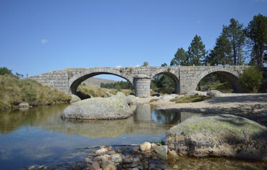 Le Pont du Tarn