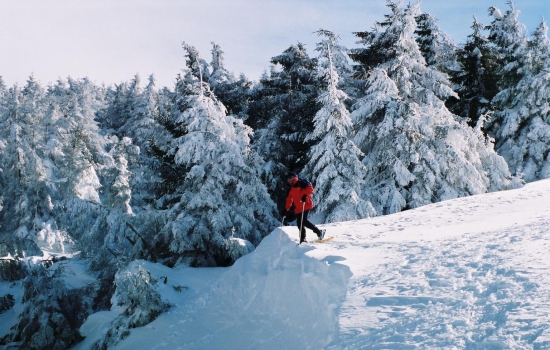 Raquettes sur les flancs du Mézenc