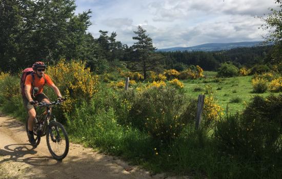 Entre Cantal et Lozere, superbe Margeride