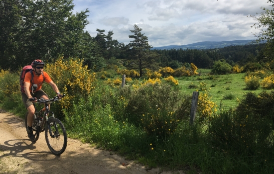 Between Cantal and Lozere, magnificent Margeride
