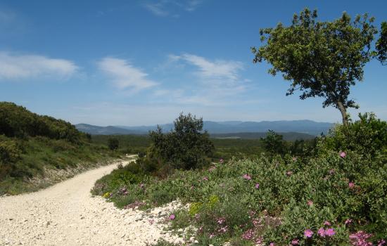 Plaisirs du VTT en garrigue