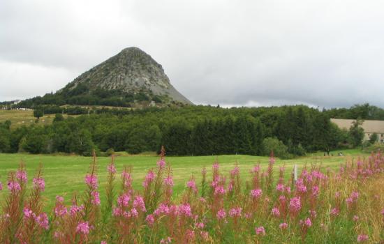 Mont Gerbier de Jonc