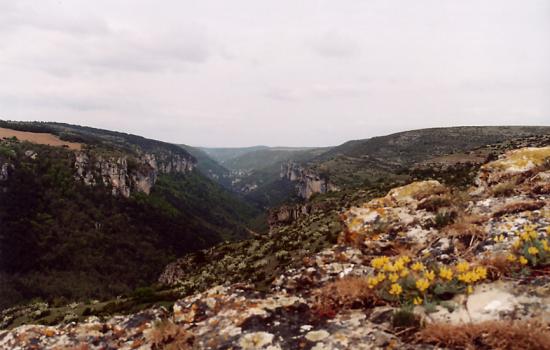 Entaille profonde entre causse Méjean et causse Noir