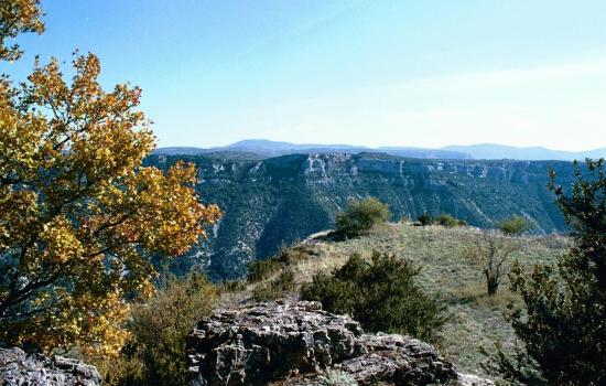 Gorges de la Vis séparant Larzac et causse de Blandas