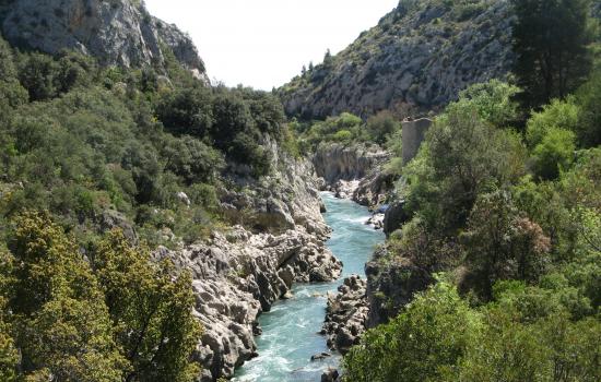 Gorges de l'Hérault