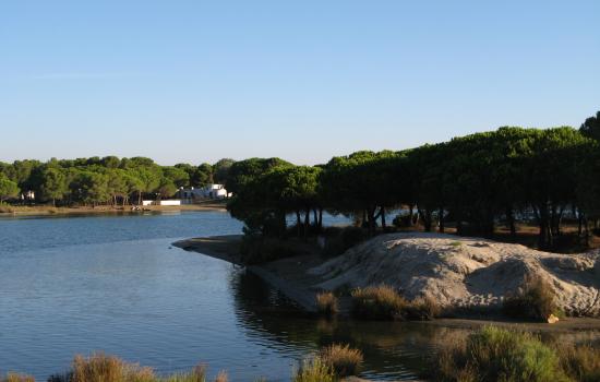 Etang, proche du Grau du Roi