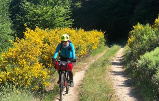 A travers les Cévennes