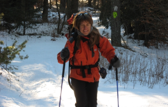 Passage dans la forêt enneigée