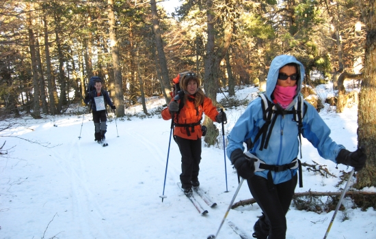 L'ascension du Mezenc, un incontournable avec la récompense d'un panorama portant sur les Alpes et les sommets du Massif Central
