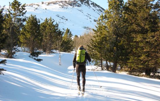 L'ascension du Mezenc, un incontournable avec la récompense d'un panorama portant sur les Alpes et les sommets du Massif Central