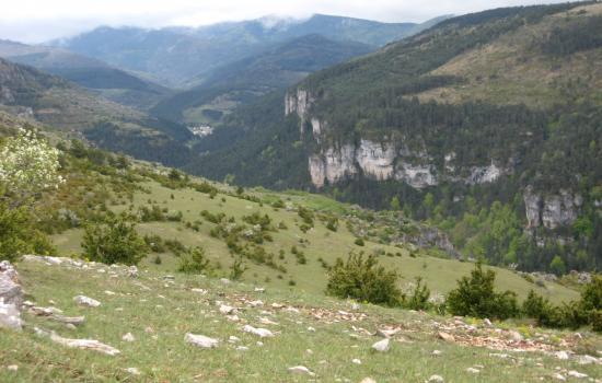 les flancs du causse méjean