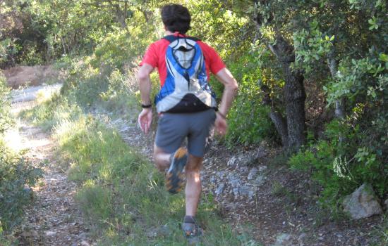 La garrigue, terrain de trail