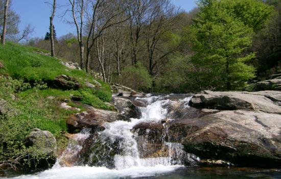 Stage et Séjours de pêche à la Mouche - Lozère Pêche Mouche