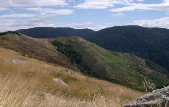 Les Monts d'Ardèche