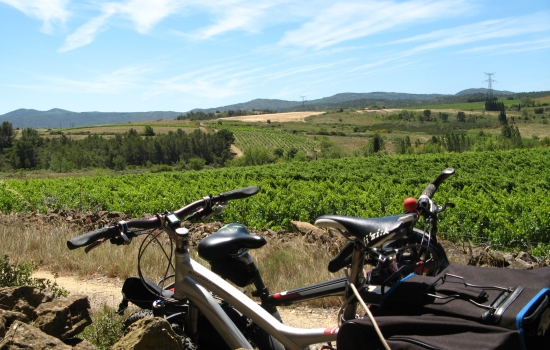 Tour of the Minervois vineyards
