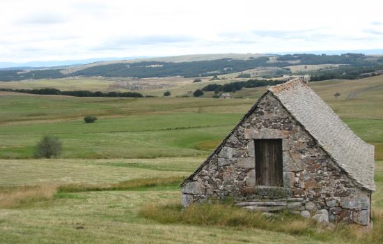 Typical summer shed in Aubrac grassland