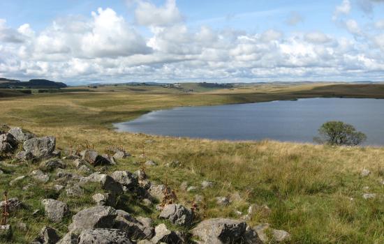 Lac de Saint Andéol