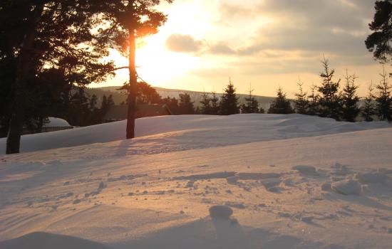 Coucher de soleil sur le Mt Lozère