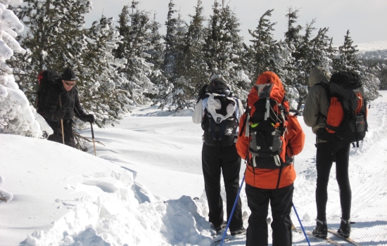 Enorme couche de neige au Mt Lozere