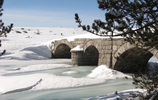 Decouverte des hameaux de Mas Camargues, Bellecoste et du Salarial