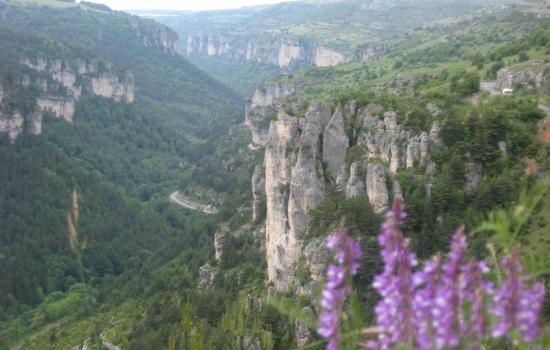 Jonte gorges