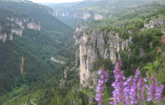 Jonte gorges
