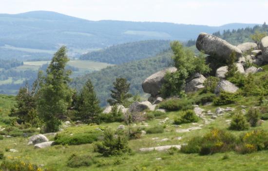 roc salte mont lozere