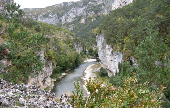 Tarn Gorges Cycling