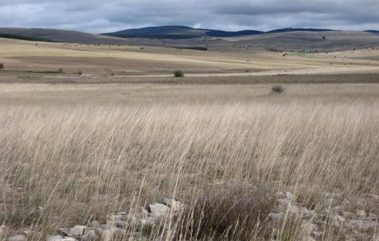 Hiking across wide open spaces