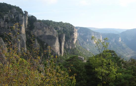 cliffs of limestone
