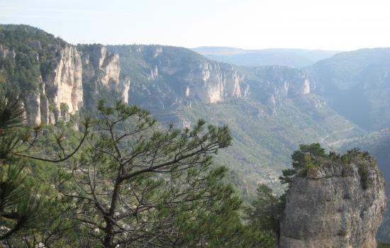 Vue sur les Gorges de la Jonte