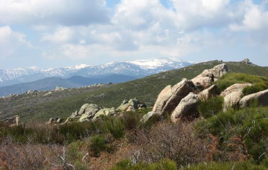 Entre Hautes Corbières et Pyrénées