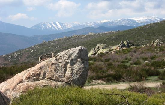 Les sommets pyrénéens enneigés au loin