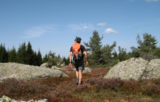 Marcher à travers les landes d'altitude