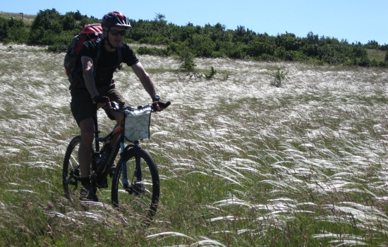 Larzac plateau steppe