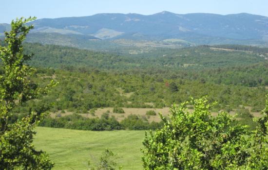 Bike travel on Larzac plateau