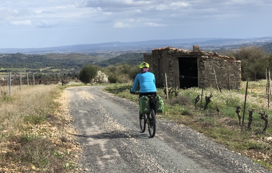 Vélo en Minervois