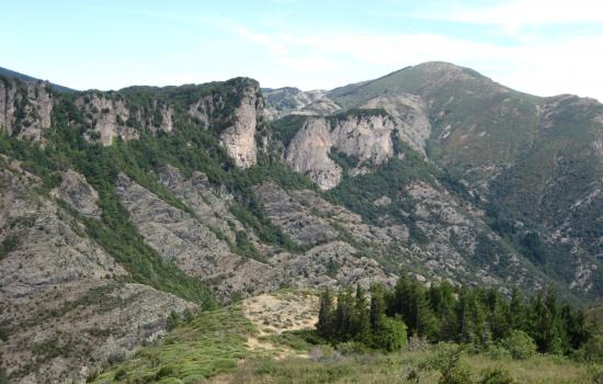 montagne haut languedoc