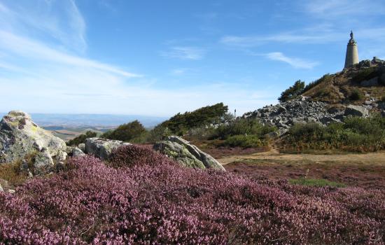 Monts de Lacaunes